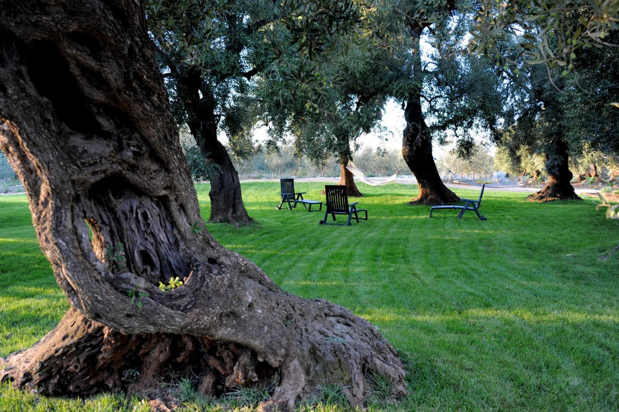 Masseria Lama Di Galizia Ostuni Luaran gambar
