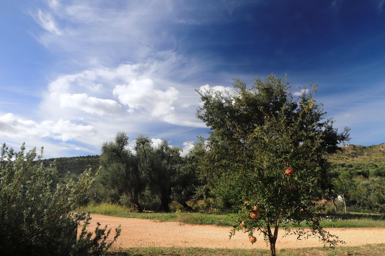 Masseria Lama Di Galizia Ostuni Luaran gambar